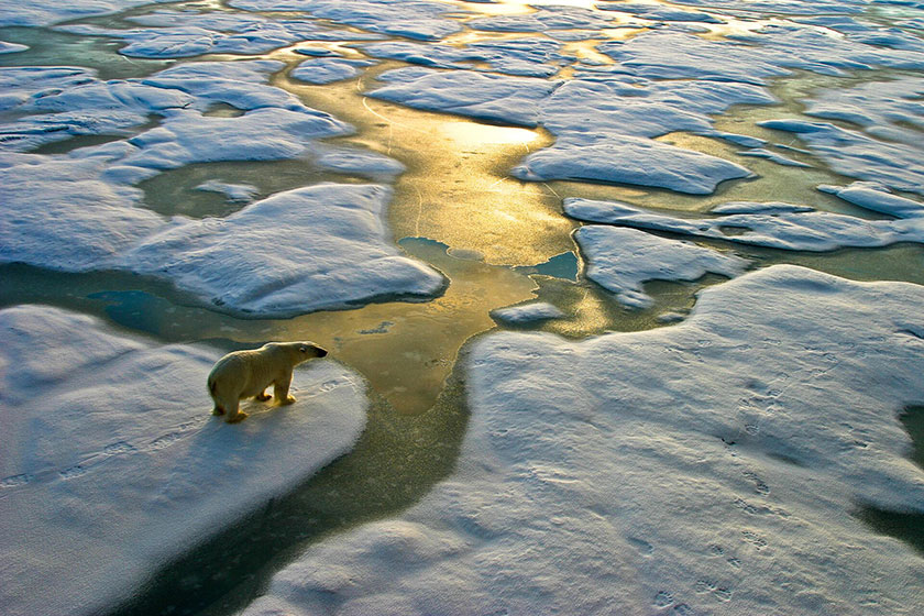 Climate Change and the Future ...